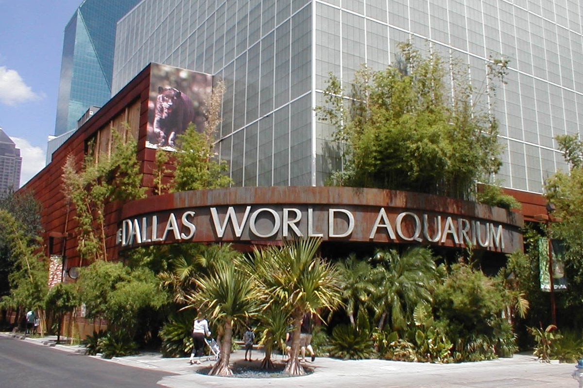 The Dallas World Aquarium